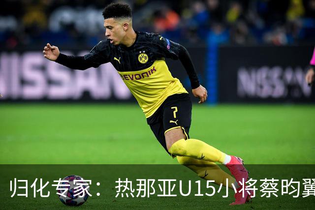 归化专家：热那亚U15小将蔡昀翼是浙江人，足协成功从意大利抢人