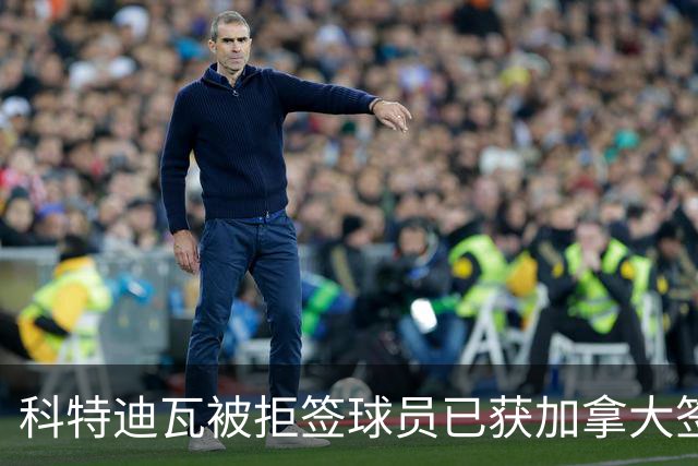 科特迪瓦被拒签球员已获加拿大签证 有望登场出战德国