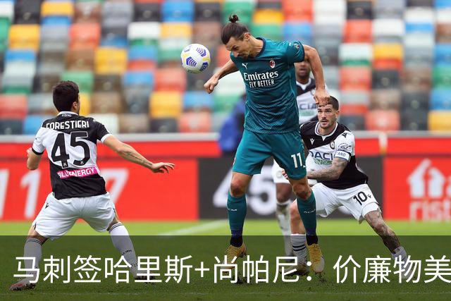 马刺签哈里斯+尚帕尼：价廉物美